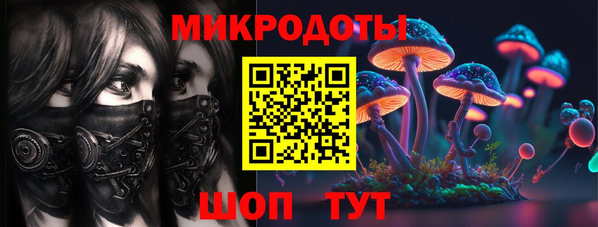 Новоалександровск  Галлюциногенные грибы Psilocybe  Вход с VPN 